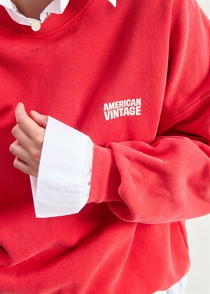 Plizzy sweat Vintage Volcano American Vintage 